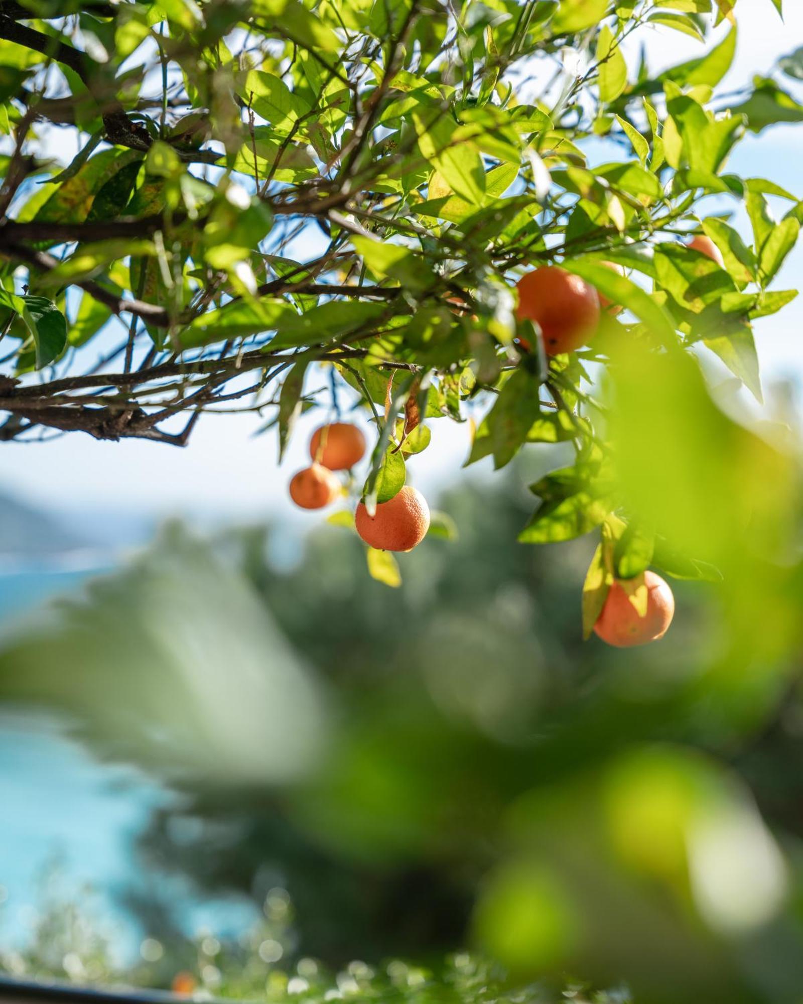 Hotel Le Roquebrune-Cap-Martin